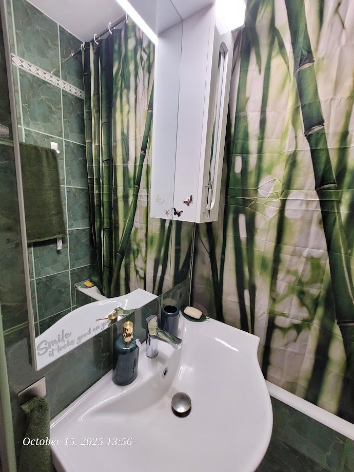 GARSONIERA ELEGANTA ZONA TINERETULUI - Poză 8