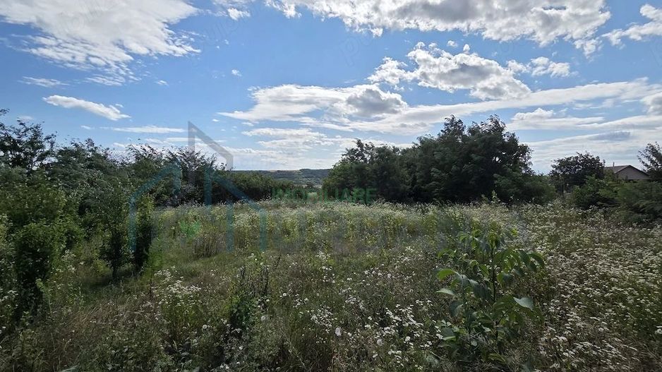 Teren intravilan 1.335 mp cu casă, comuna Erbiceni, județul Iași - Poză 4