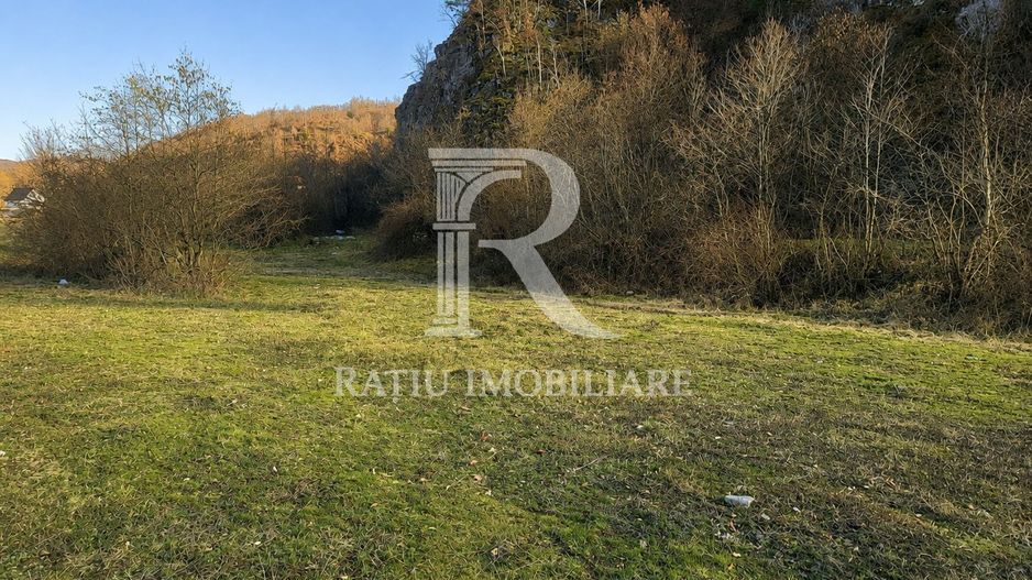 Teren intravilan | Loc de cabana |  Balnaca | Bihor - Poză 1