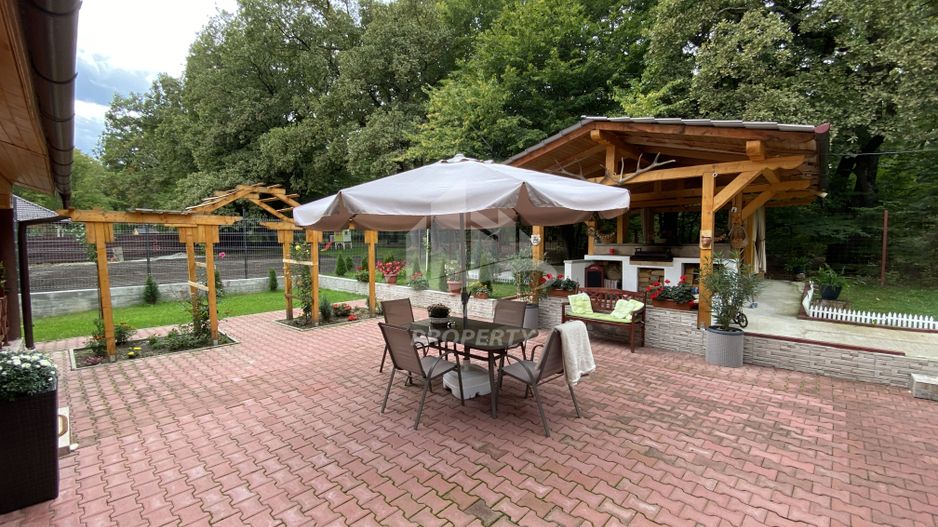 Vila  Frumoasa , Sibiu ,6 camere , 5 Bai , mobilata ,utilata - Poză 11