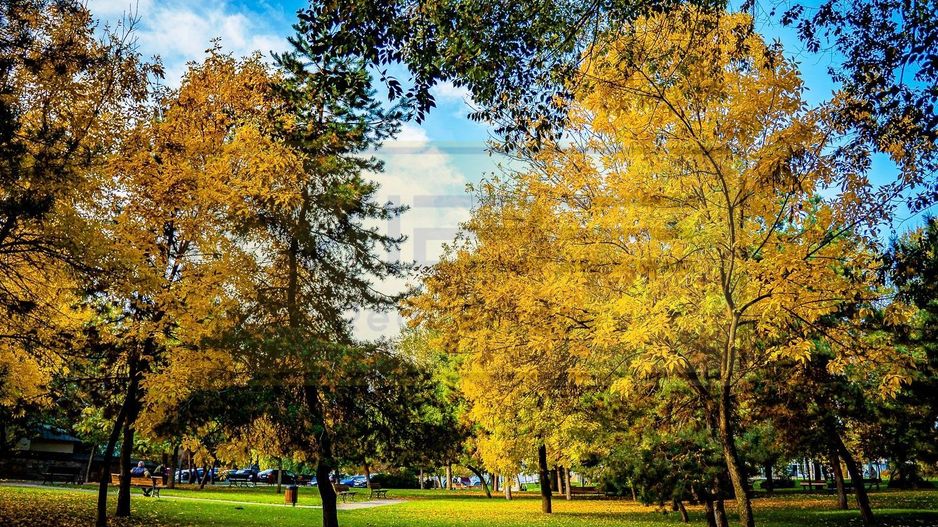 Apartament 2 camere decomandat zona Podul de Fier - Poză 21