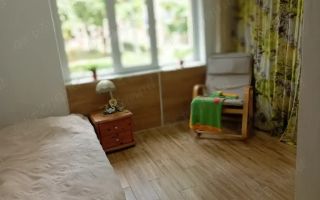 BRASADAS vinde ap 2 cam decomandate, PARTER Botizului. - Poză 1