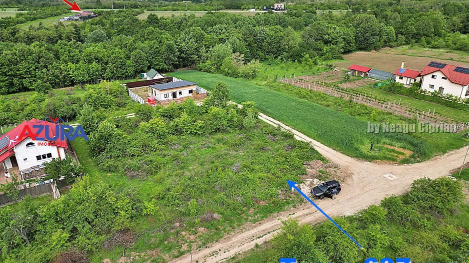 AZURA Imobiliare - Teren Mosoaia - Poză 1