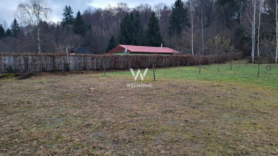 Teren 2000 mp, langa padure,  pe Valea Avrigului - Sibiu - Poză 6