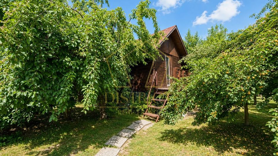 Casa individuala pentru locuit sau activitati comerciale/birou | Braytim - Poză 29