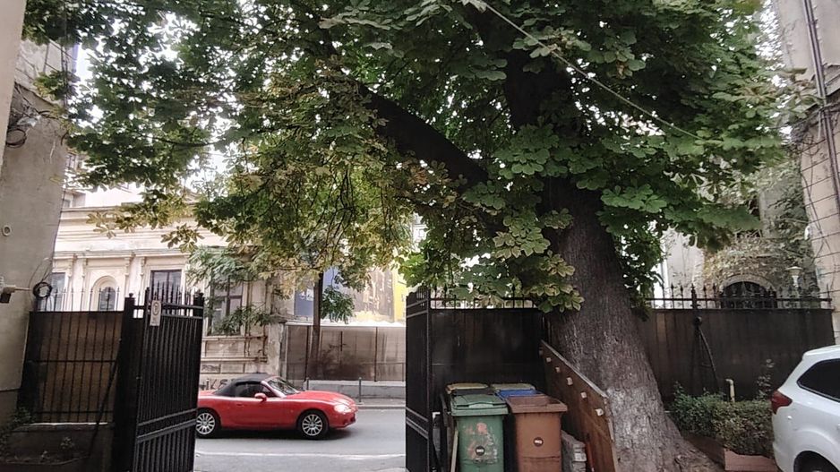 Apartament 2 camere | Unirii | - Poză 11