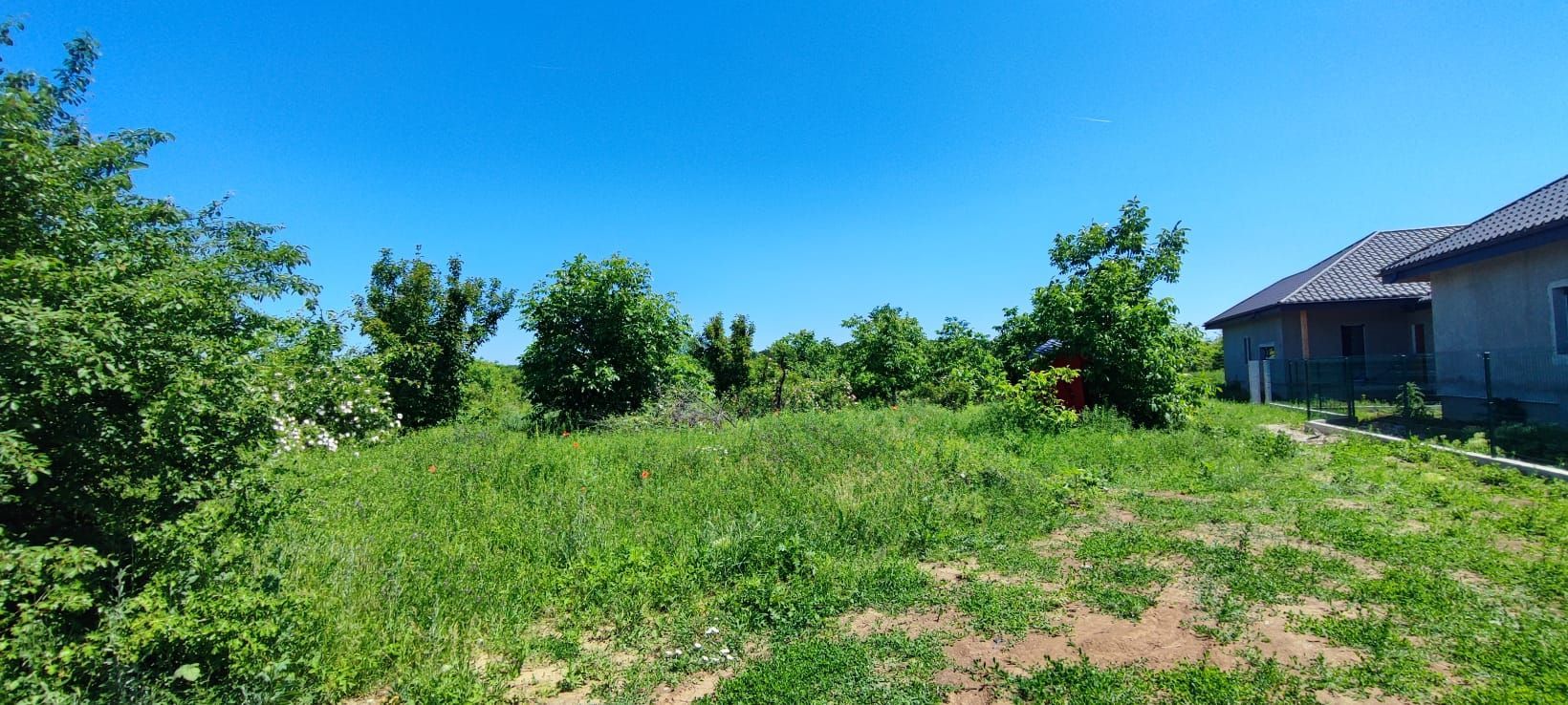 Lot pentru două case – Corbeanca Tamași - Poză 7