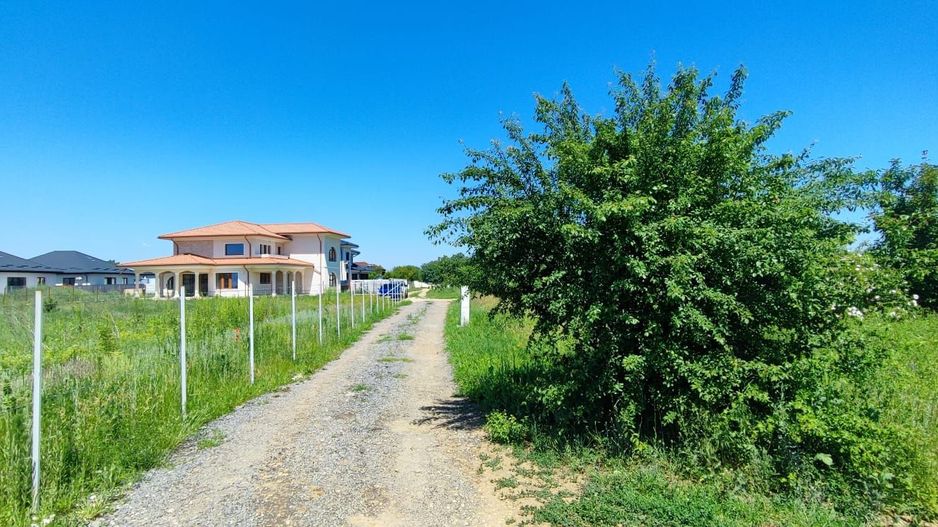 Lot pentru două case – Corbeanca Tamași - Poză 3