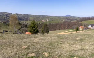 🌿 Teren Intravilan 3.791 mp | Priveliște Panoramică Superbă | Poiana Mărului - Poză 27