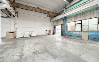 Hala industriala cu pod rulant, Sanicolau Mic, suprafata 1.187 mp - Poză 3