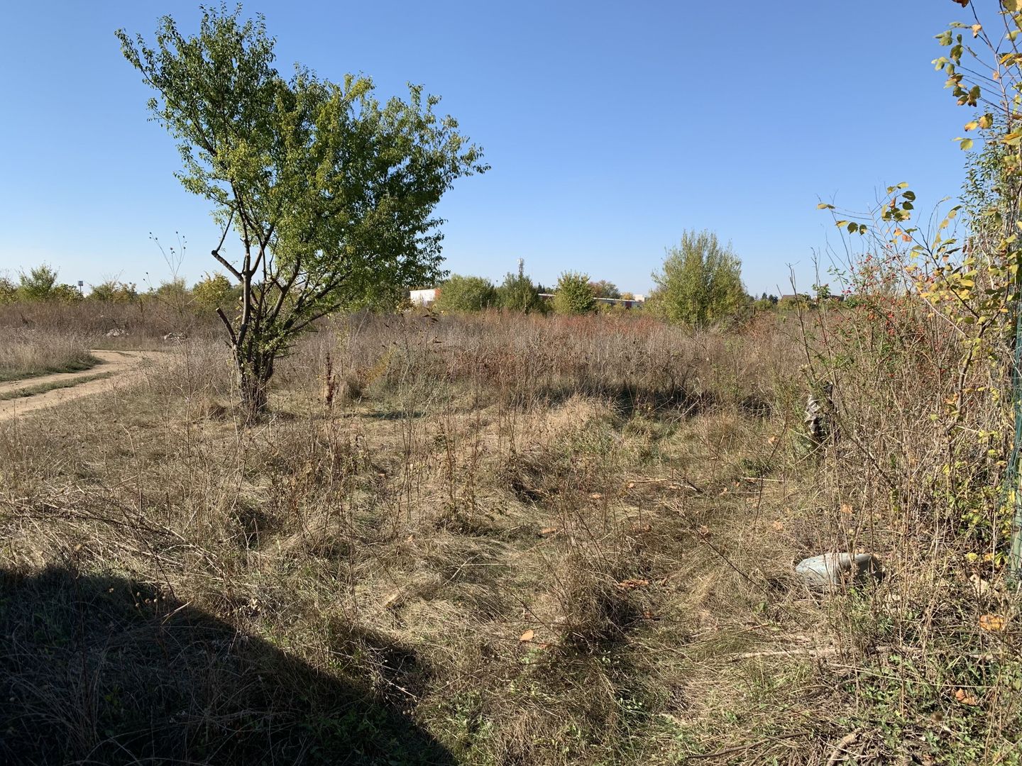 Teren intravilan 5000mp Sector 1 Bucuresti - Poză 6