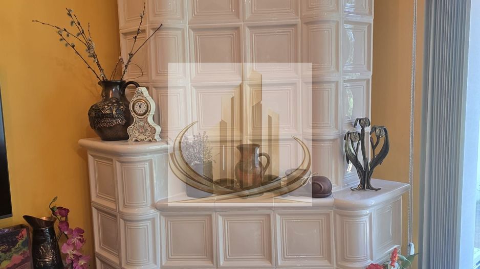 Vila exclusivista in Timisoara zona Centrala 950.000 Euro - Poză 11
