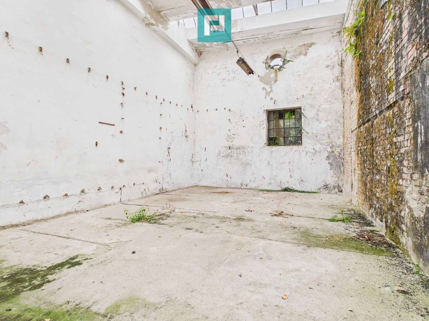 Hală de depozitare 200 mp în Periam - Poză 4