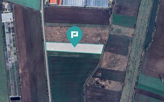 Teren arabil intravilan 10.333mp - Livada - Poză 2