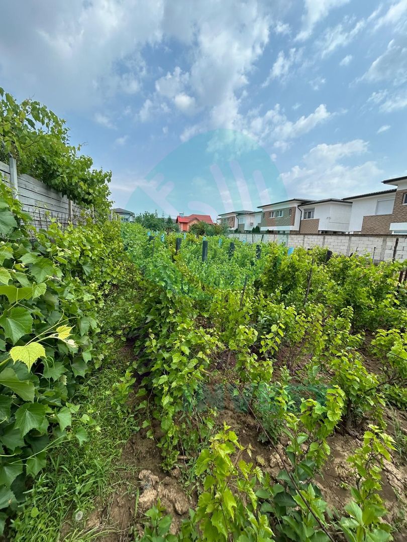 Teren cu utilități,  zonă în dezvoltare – Popești - Poză 5