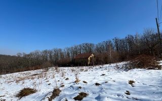 Se vinde teren intravilan Cisnadioara - Poză 4