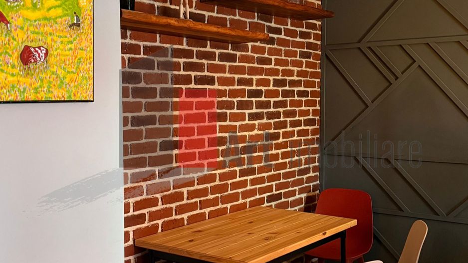 Apartament cu doua camere de inchiriat-Parcul Carol-Viilor-cu centrala - Poză 11