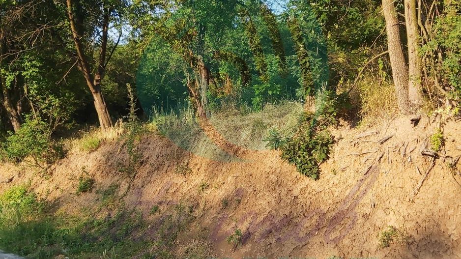 TEREN 1690 MP - ORAS STREHAIA - Poză 6