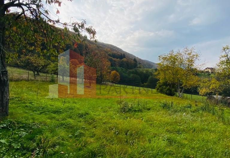 Casa + teren 1700 mp langa Padure Bran/ Predelut - Poză 6