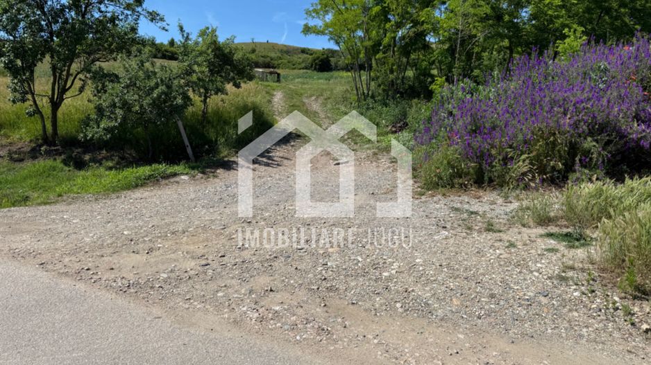 Teren intravilan de vânzare – Gădălin, com. Jucu, jud. Cluj - Poză 4