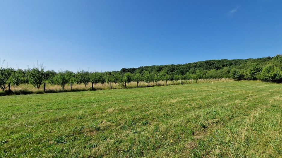 Vanzare teren intravilan, Smeura de Sus - Poză 8