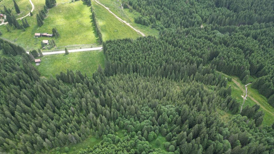 Teren extravilan 5000 MP Comandau - Poză 7