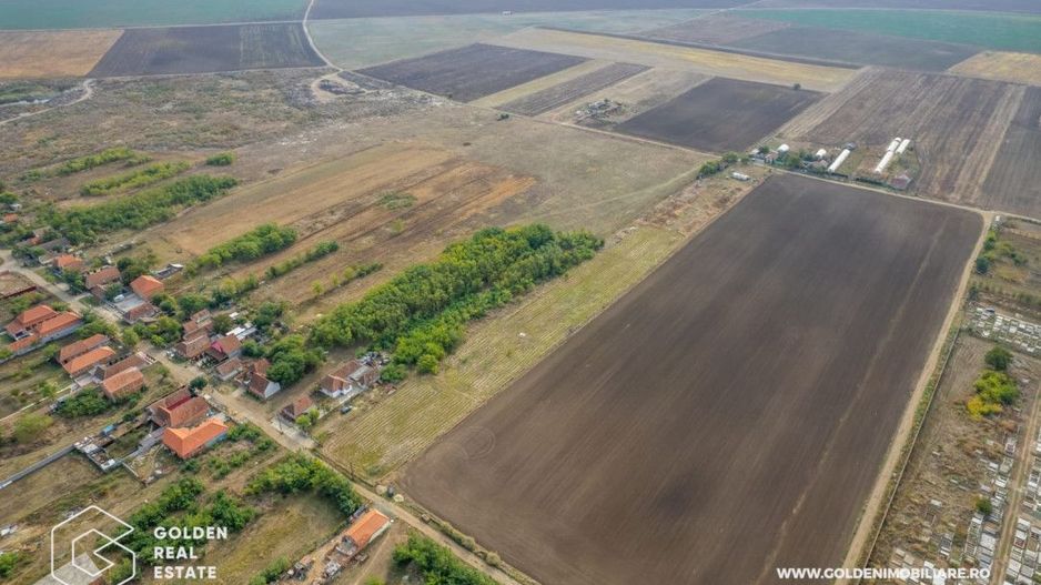 Teren intravilan, 14900 mp, Curtici - Poză 6