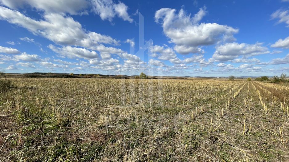 De vânzare teren intravilan – Cristian, Sibiu - Poză 6