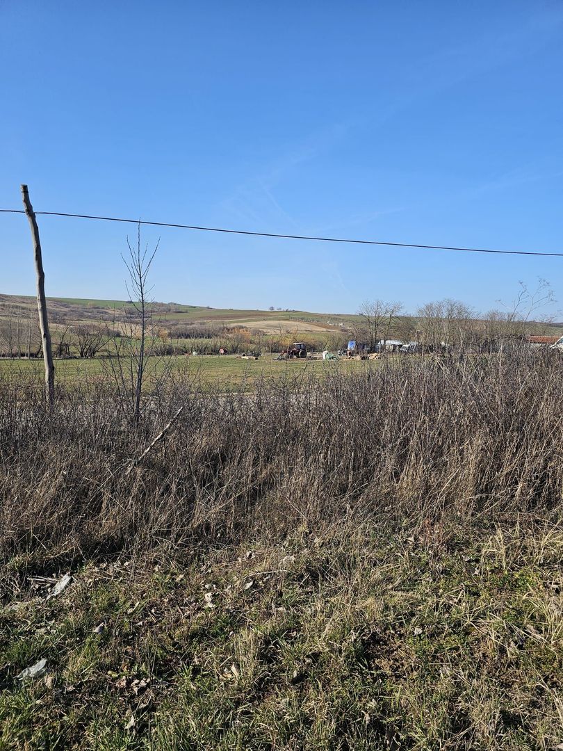 Teren intravilan Cetariu 1500 mp - Poză 7