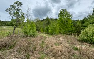 TEREN INTRAVILAN 6680 MP LERESTI ARGES - Poză 7