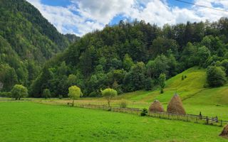 Vila de vacanta | Valea Cheii - Poză 15