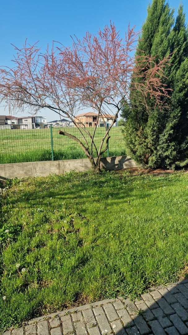 Casă de închiriat în Dumbravita – 3 dormitoare si garaj - Poză 12