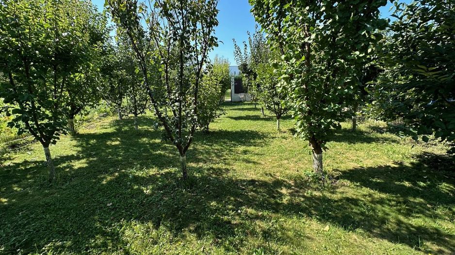 CASA EXCEPTIONALA CU LIVADA PROPRIE - Poză 29