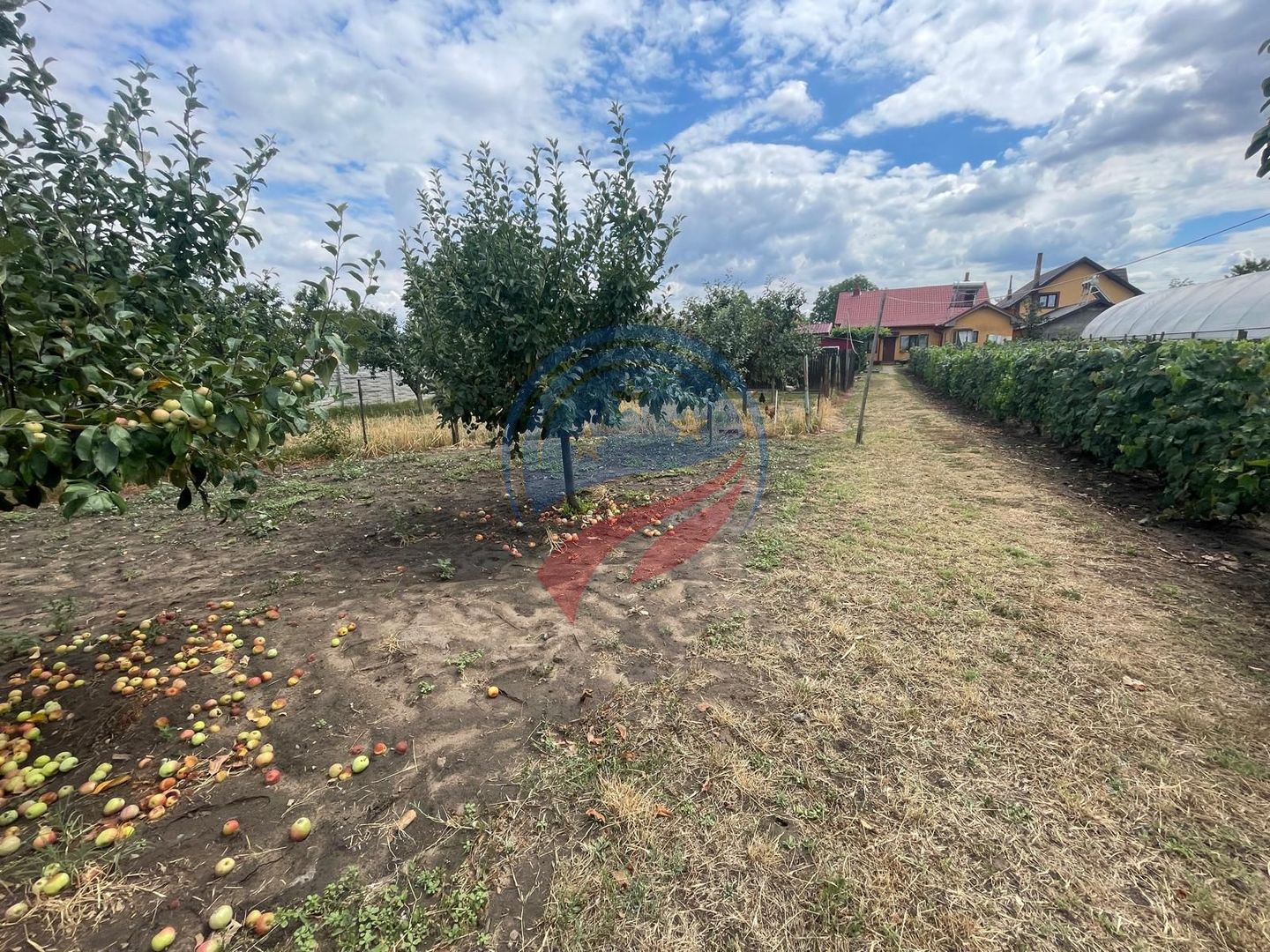 Casa in localitatea Zanoaga- Dolj - Poză 4