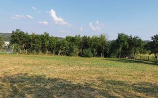 Teren de vanzare - Lupesti, com. Mănăstirea Cașin - Poză 2