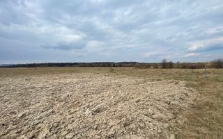 TEREN EXTRAVILAN | 23 ARI | HORODNIC DE SUS - Poză 6