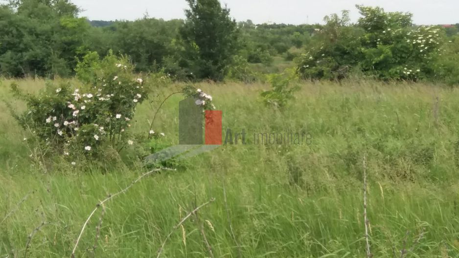 Teren Buftea cu iesire la lac - Poză 21