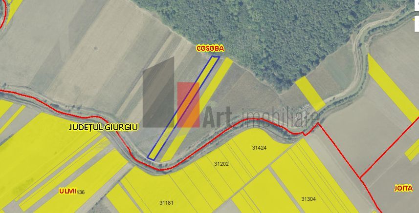 Teren Intravilan Padure Joita - Poză 4