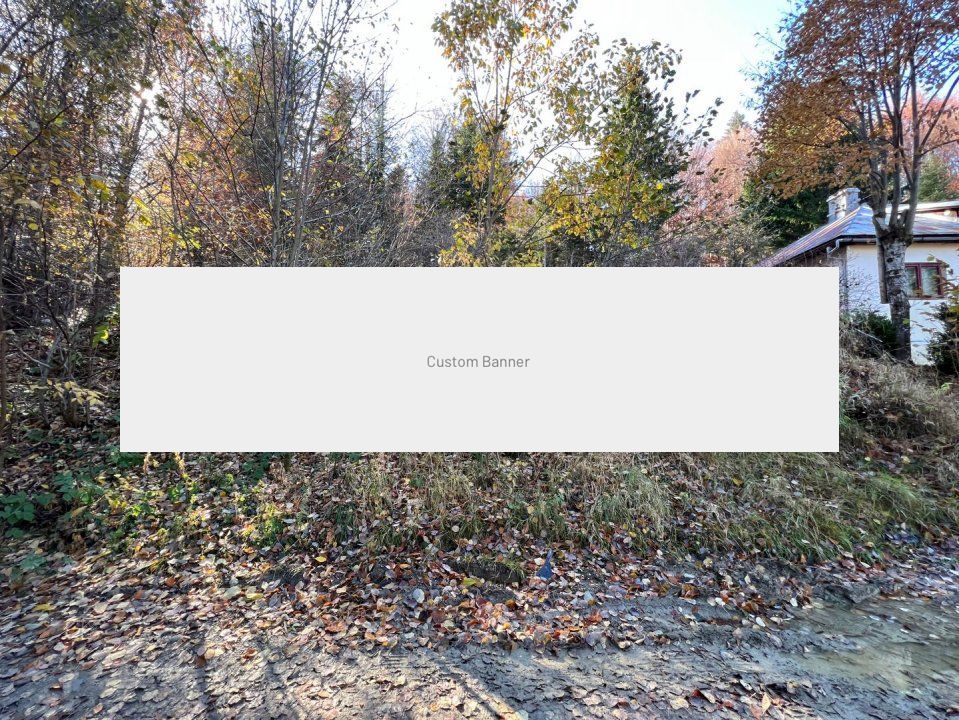 Teren 500 metri - central Sinaia - ideal constructii - Poză 3