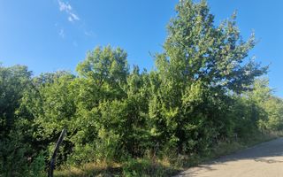 Teren intravilan de vânzare Livezile | Aproape de centru - Poză 1