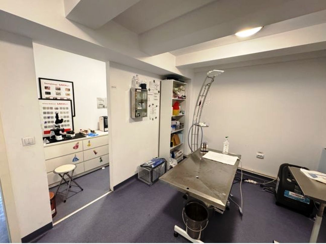 Spatiu comercial in centrul Brasovului - Poză 6