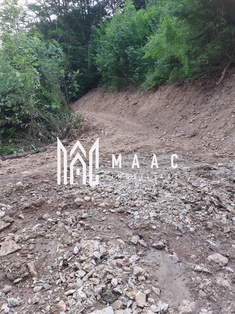 5000 teren in Muntii Apuseni I Pregatit pentru constructie - Poză 22