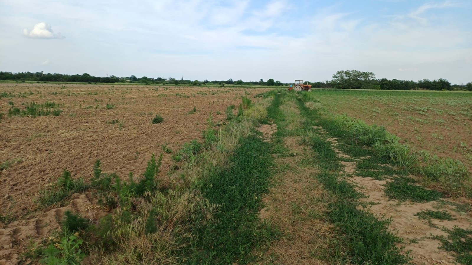 Teren intravilan de vanzare | Peris | 10.000 mp | Investitie sigura - Poză 6