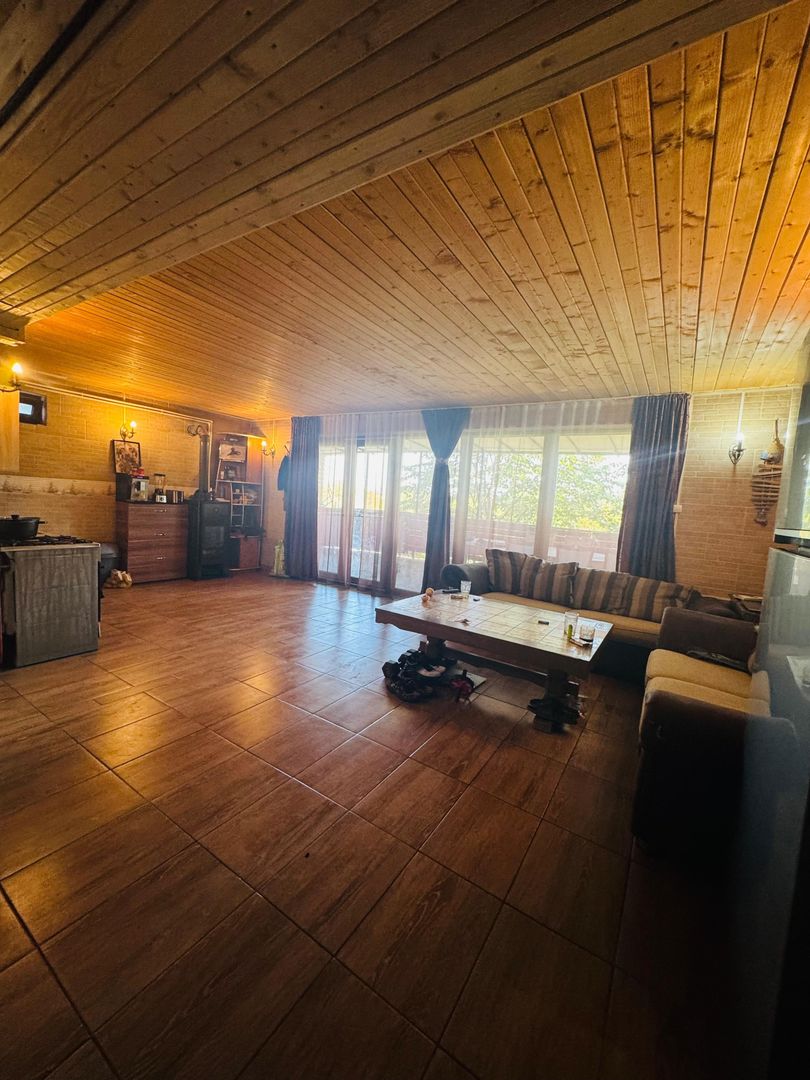 Casa Podgoria cu ponton pe malul Crisului - Poză 5