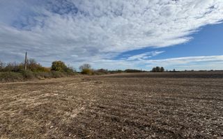 Vand Teren Extravilan Biled(zona industriala) 25.000mp,F.S la DN6 - Poză 3