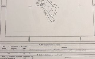 Vilă în Cotroceni | Curte proprie | Gradina Botanică-Palat-Carol Davilla - Poză 12