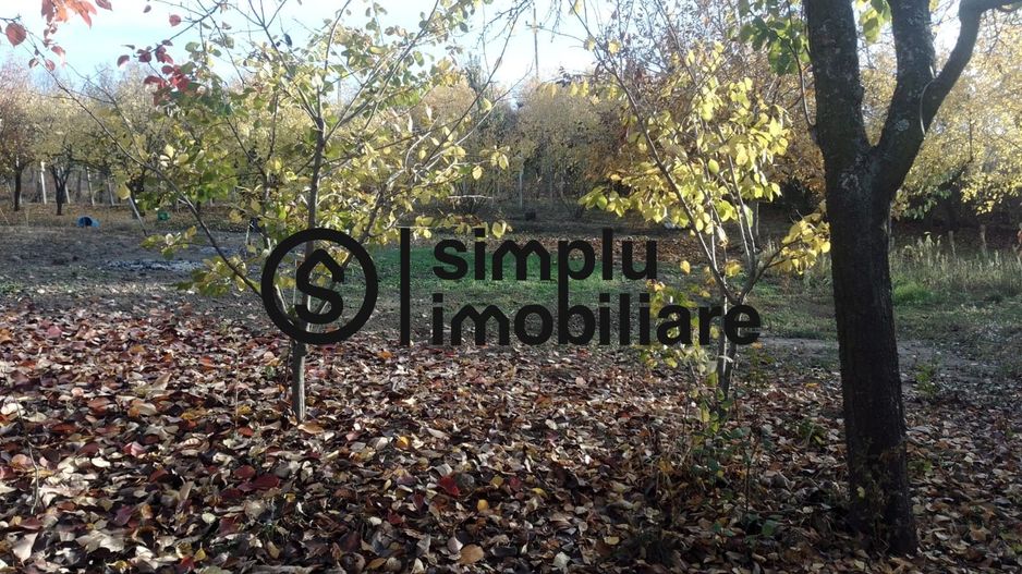 Teren Intravilan Central Ghercesti - Poză 2