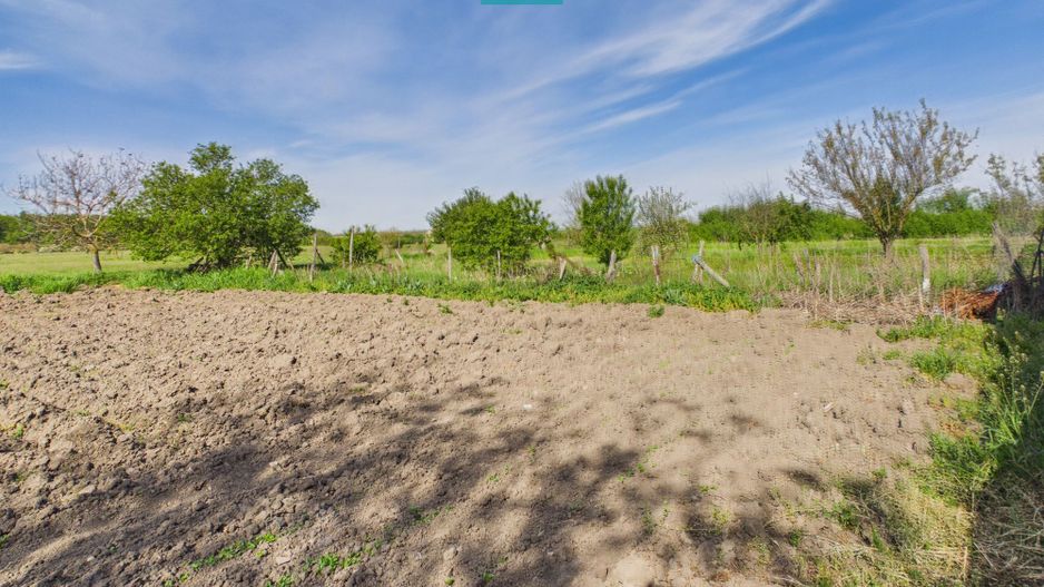 Casă retrasă Pișchia – 4 camere, teren 920 mp - Poză 67