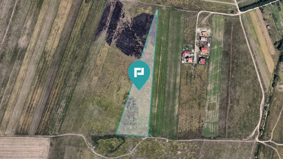 Teren Agricol Extravilan - Giroc, 11.000 mp - Poză 1