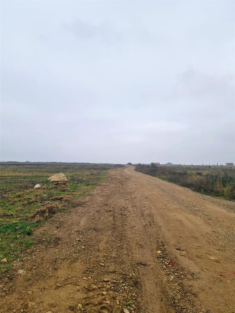 Teren Grigorescu 2 - Poză 3